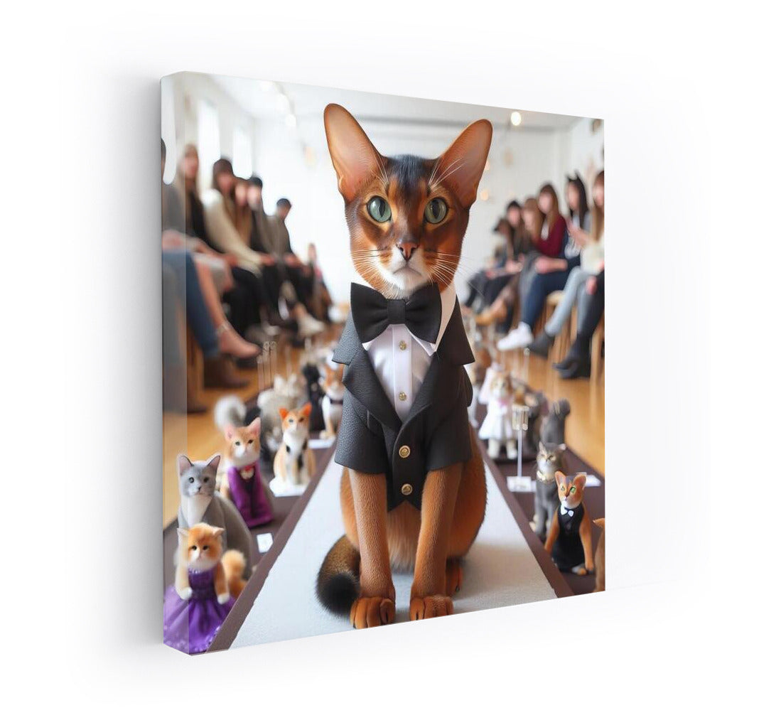 Abyssinian Cat on the Catwalk: Elegance and Style