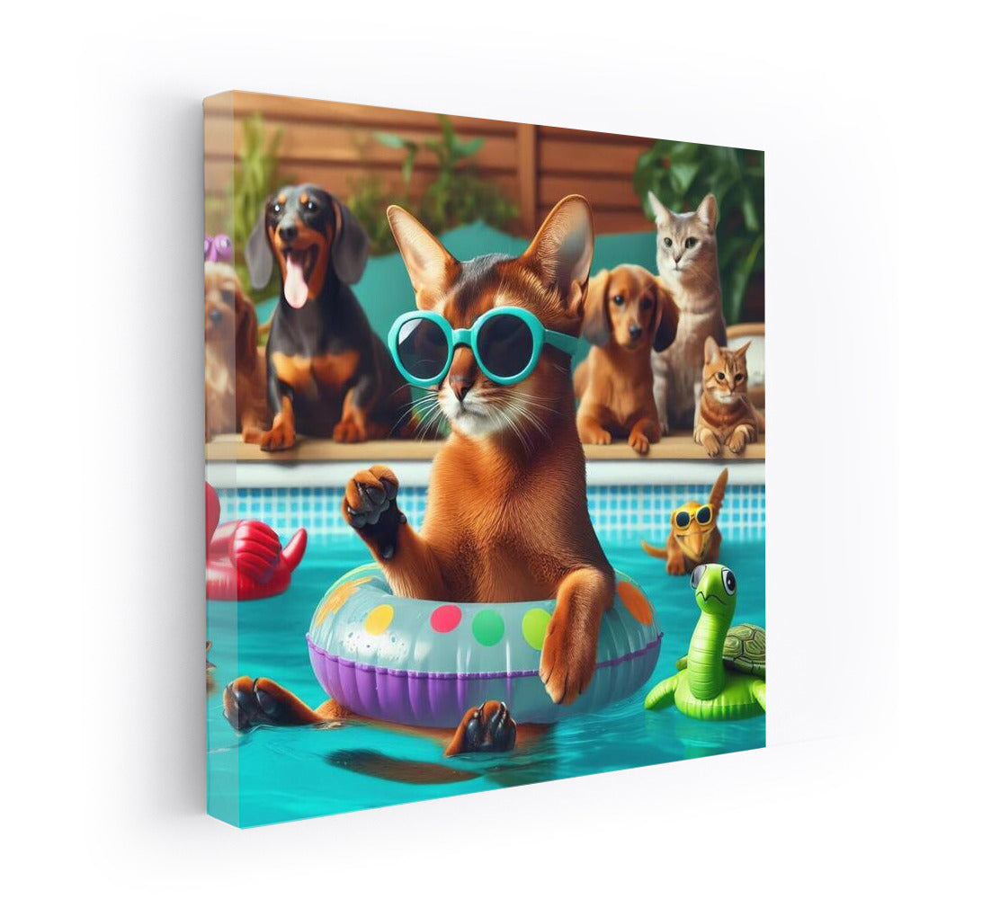 Abyssinian with Glasses: Fluffy Pool Party