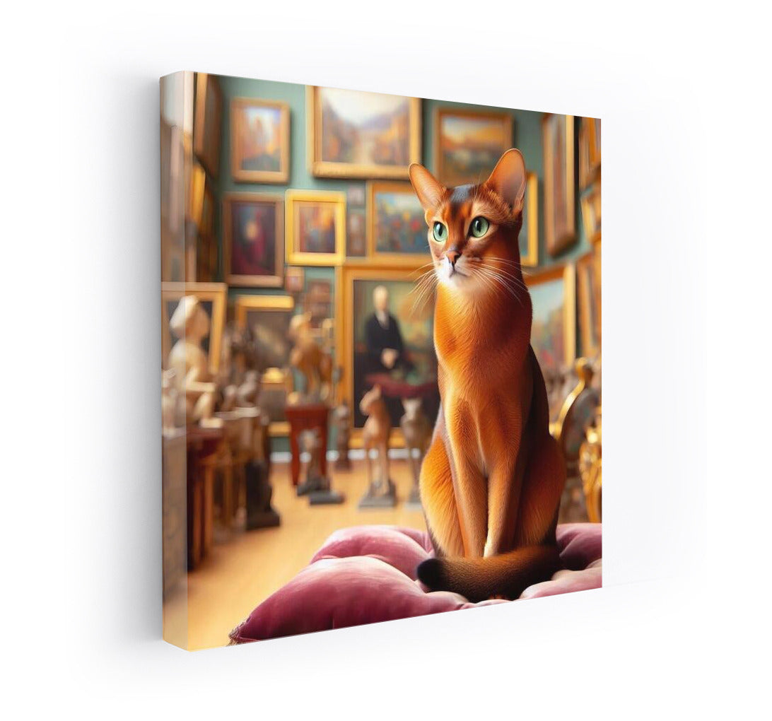 Abyssinian Cat in Gallery: Refinement and Style