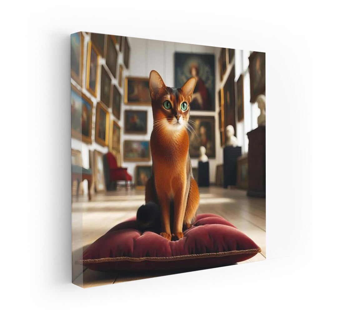 Grace of the Abyssinian in the Gallery: Comfort and Art