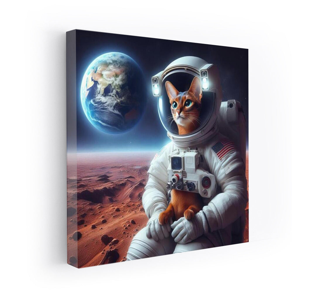 Space Abyssinian: A cat in a spacesuit on Mars looking at Earth