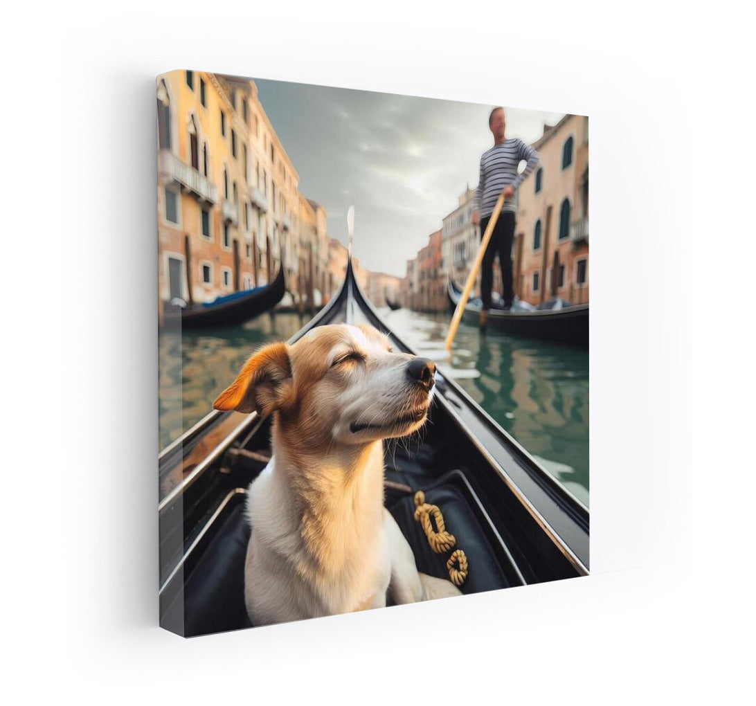Dog on a Gondola: Venetian Idyll for Interiors