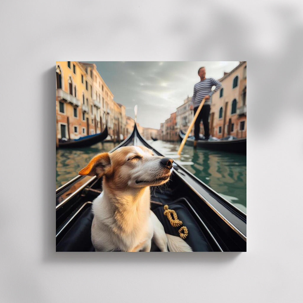 Dog on a Gondola: Venetian Idyll for Interiors