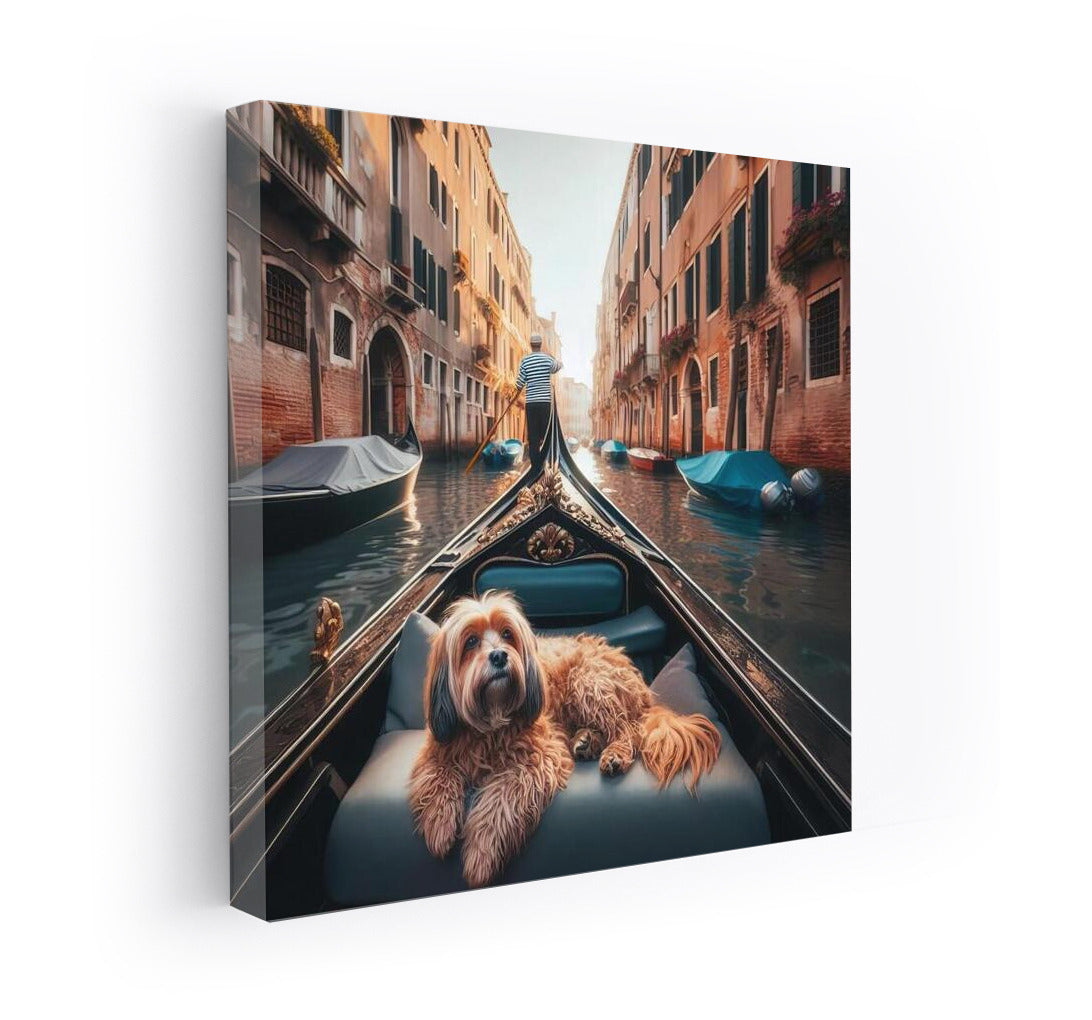 Fluffy Passenger in Venice: Pastel Canals and Gondola