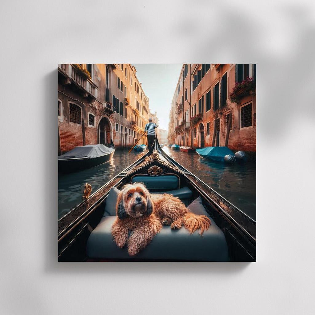 Fluffy Passenger in Venice: Pastel Canals and Gondola