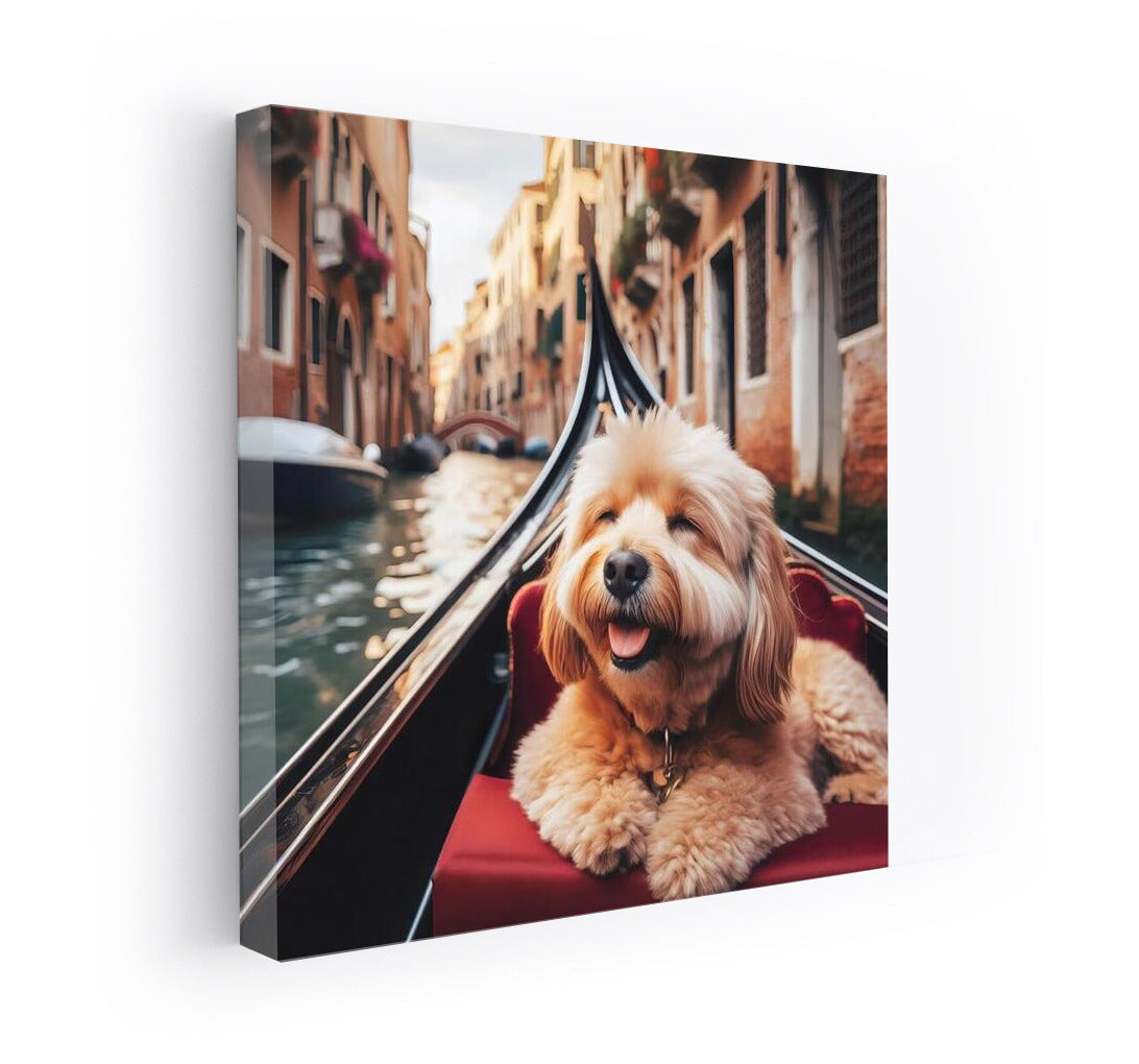 Fluffy Cat on a Gondola: Venice Journey