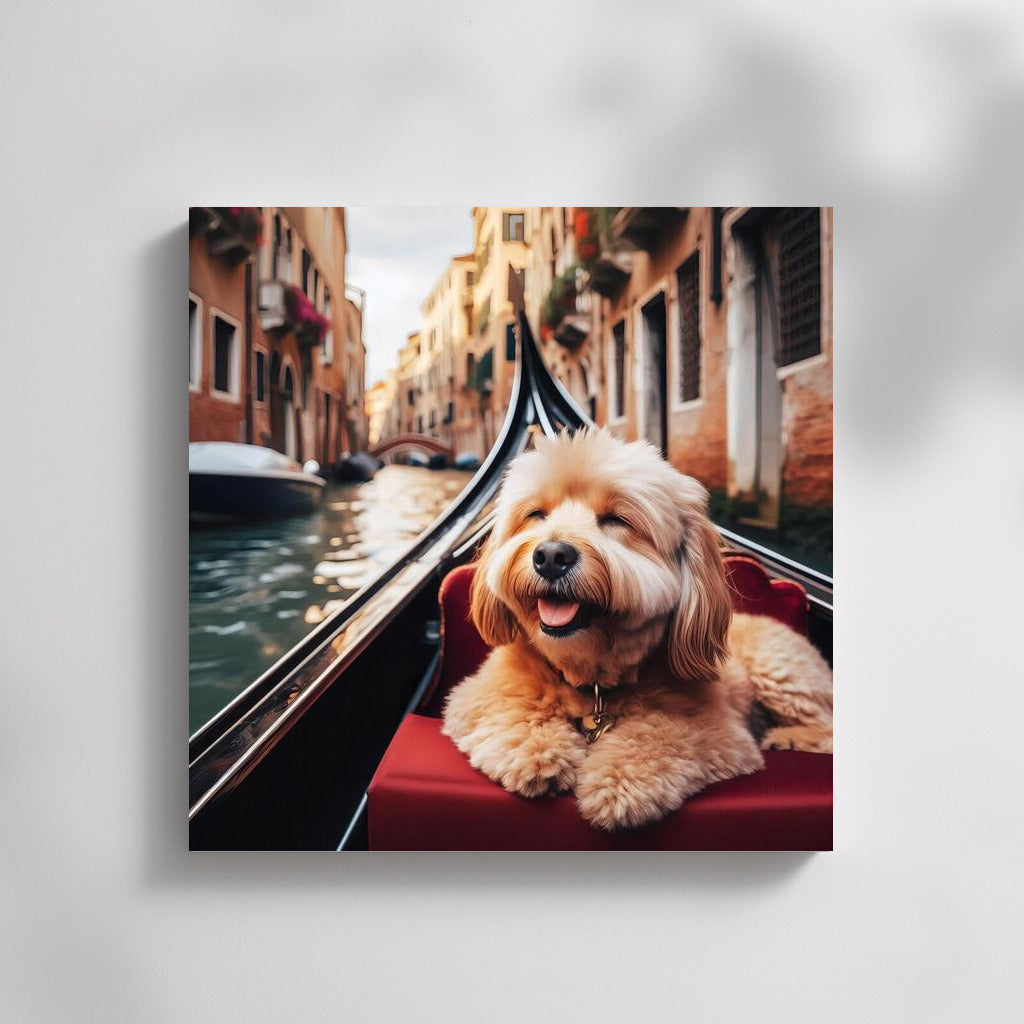 Fluffy Cat on a Gondola: Venice Journey