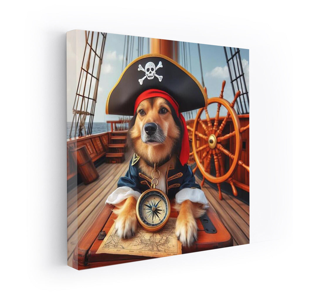 Pirate Captain: Sea Dog in Search of Adventure