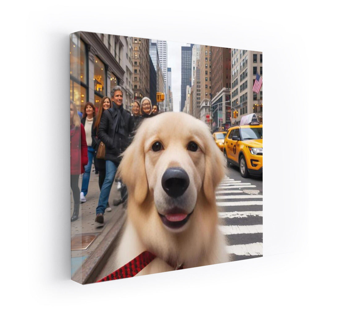 Urban Adventures: Adorable Dog on the Street
