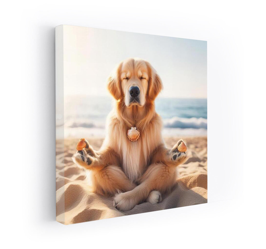 Calm Dog on the Beach: Peace and Joy in the Interior
