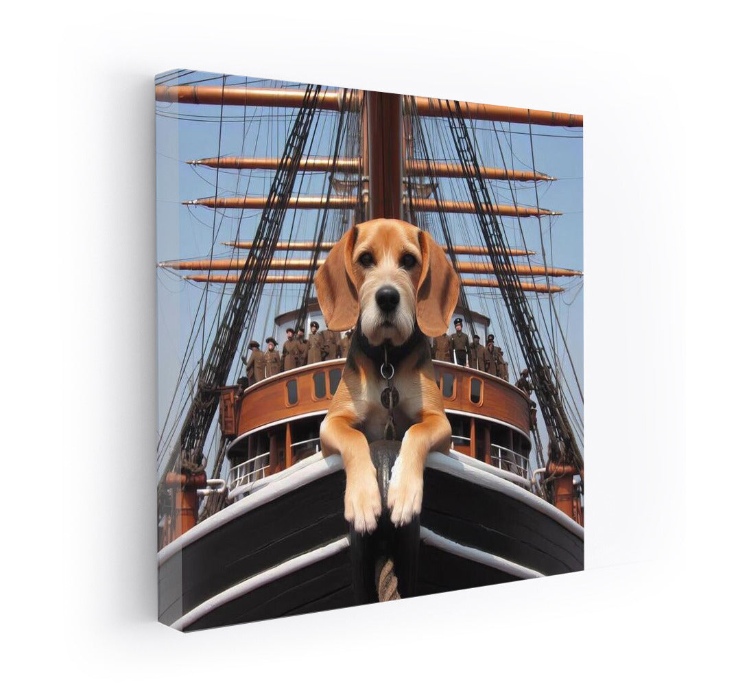 Sea Dog: Adventures on a Historical Ship