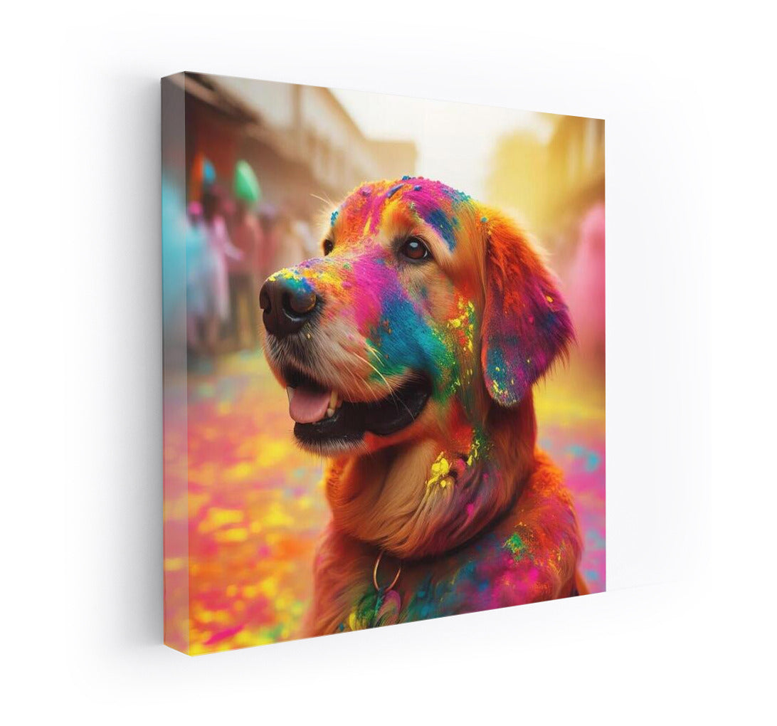 Rainbow Dog: A Bright Accent for the Interior