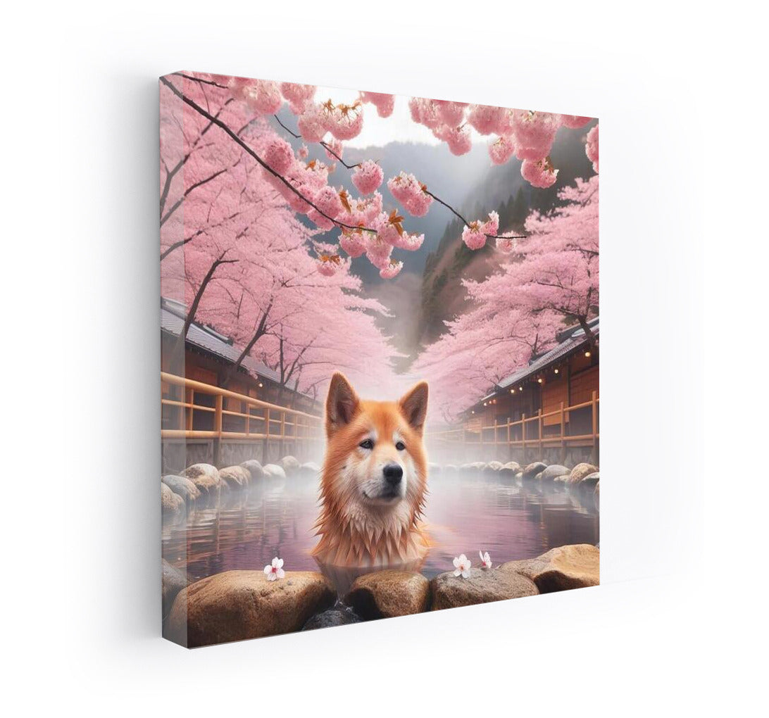 Japanese Spring: Dog in Hot Springs Among Cherry Blossoms
