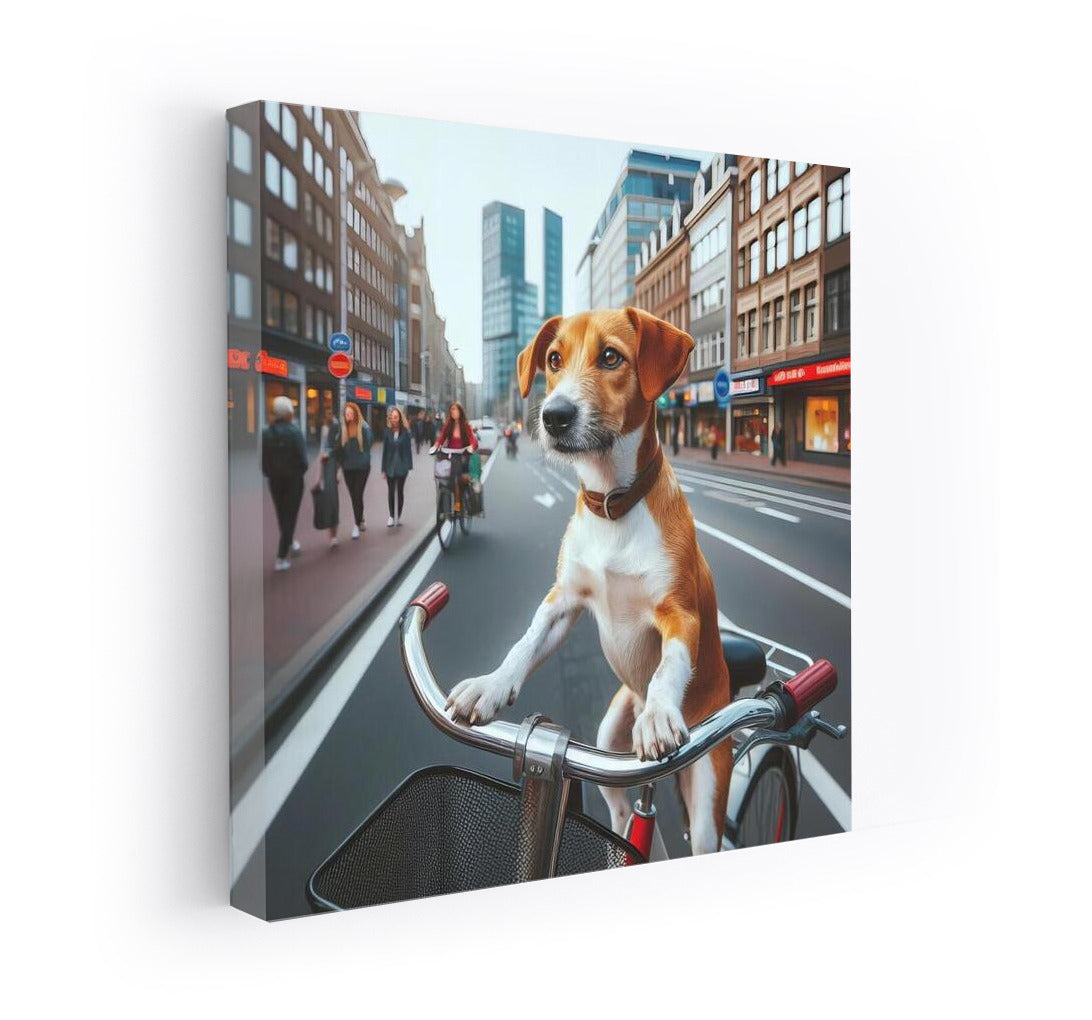 Tailed Cyclist: Cat on a Bicycle in the City