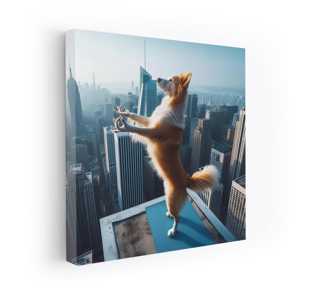 Yoga Dog on the Roof of a Metropolis: Inspiration and Miracle in Your Interior