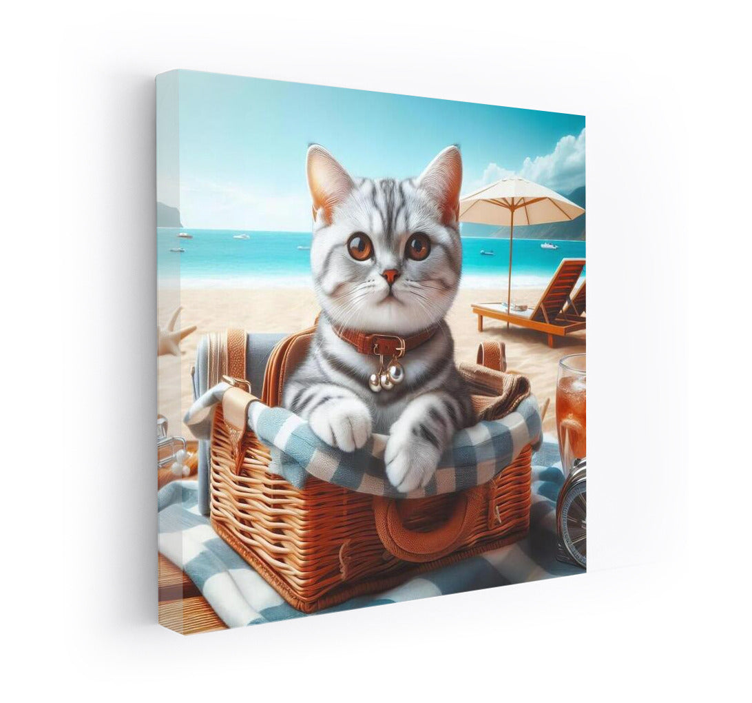 Beach Adventures: Adorable Kitten for Summer Coziness