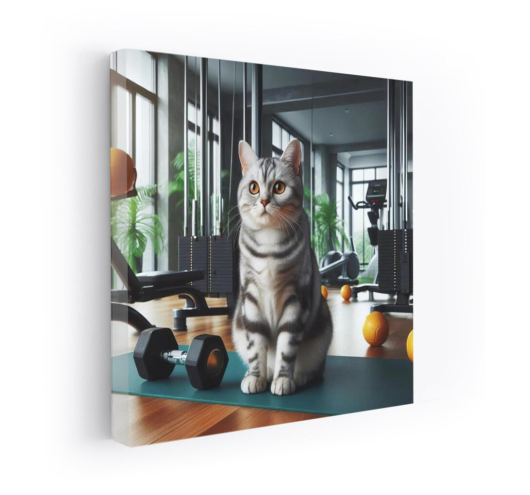 Gym Cat Trainer: Funny Poster for Sports and Cat Lovers