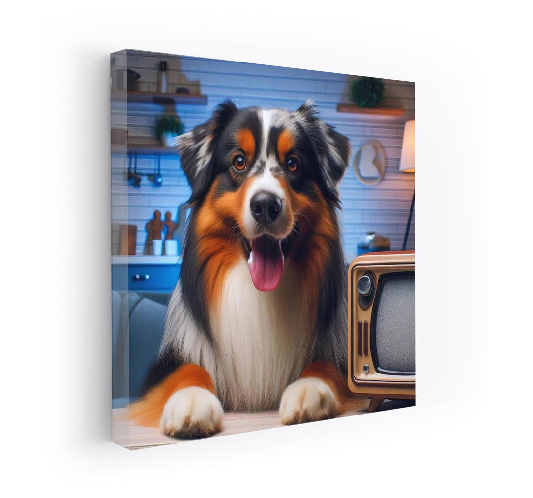 Australian Shepherd Show: Living Stories of Home Appliances