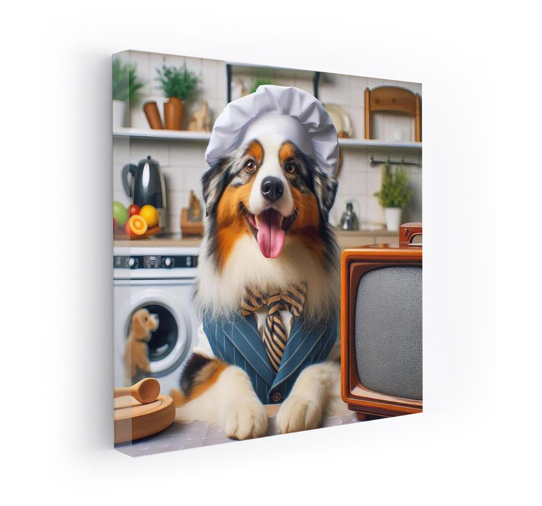 Australian Shepherd on TV: Living Stories of Home Appliances