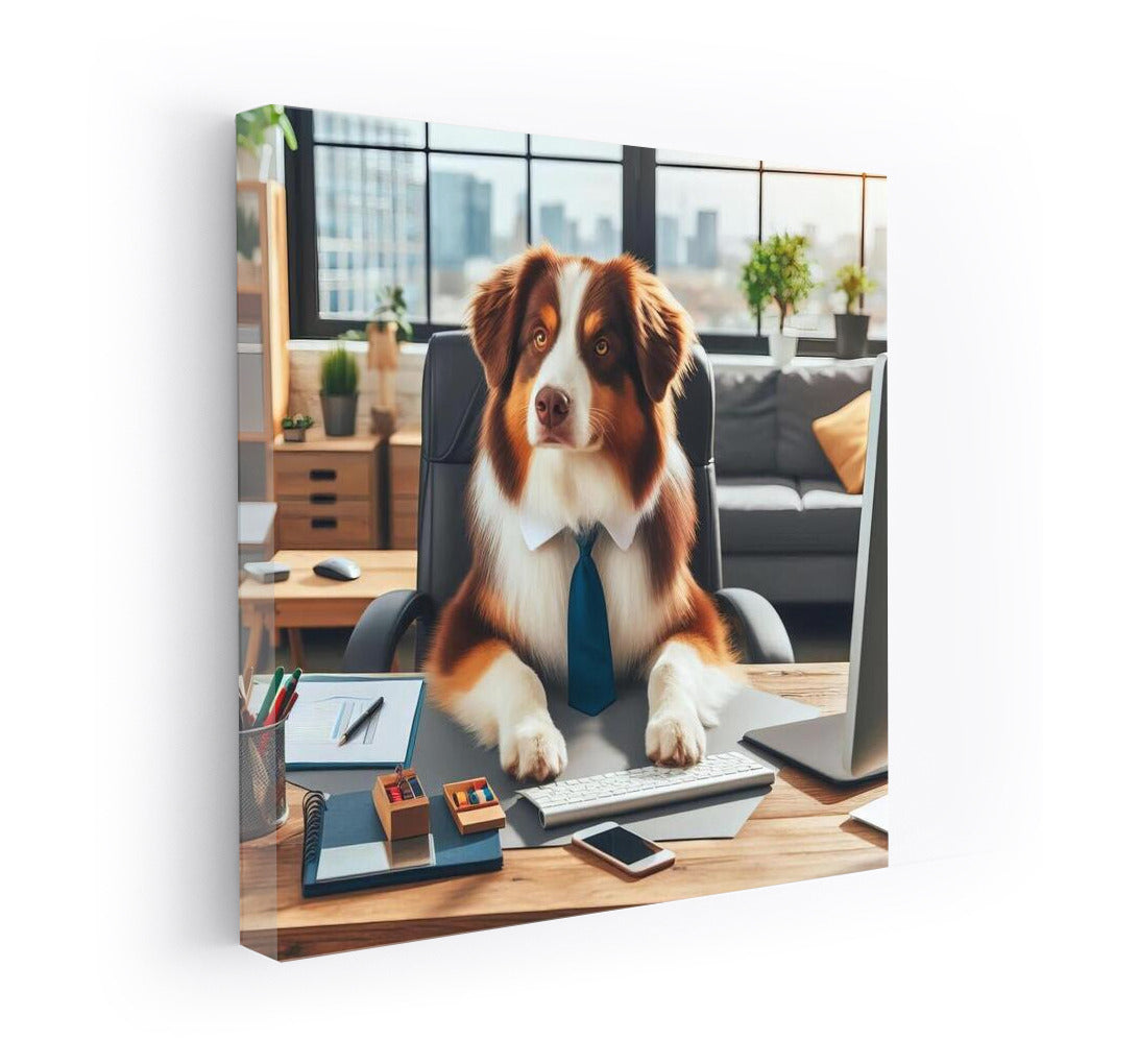 Office Genius: Australian Shepherd at the Computer