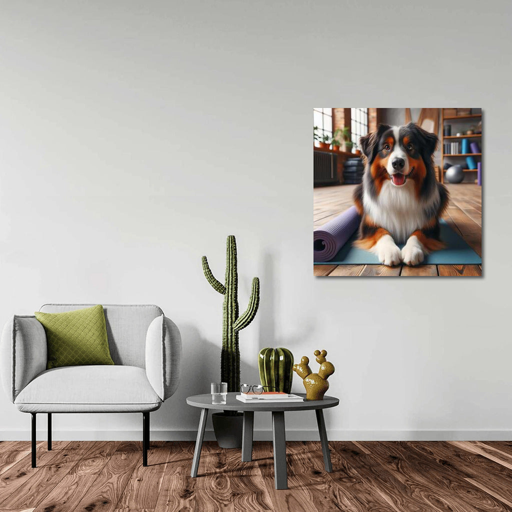 Australian Shepherd in Yoga Studio: Harmony and Style