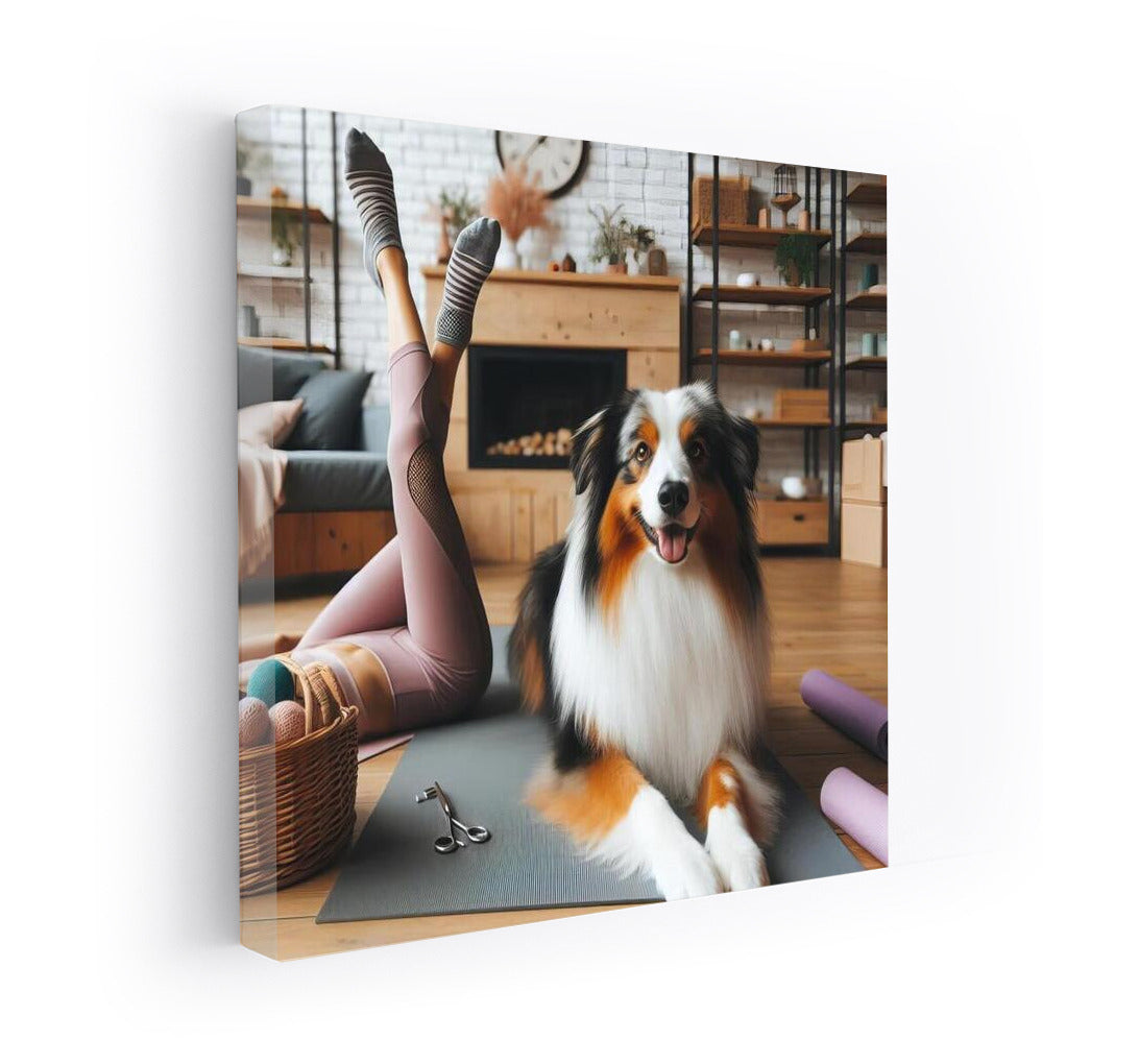 Australian Shepherd: Yoga and Harmony
