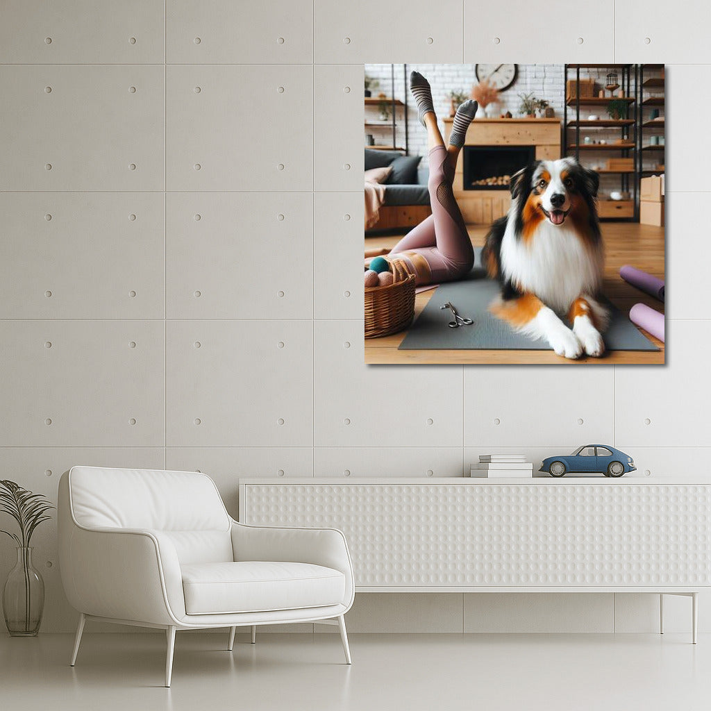 Australian Shepherd: Yoga and Harmony