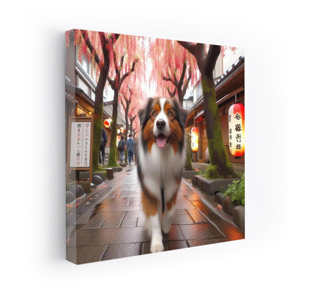 Australian Shepherd on the Streets of Japan: Traveling in Style