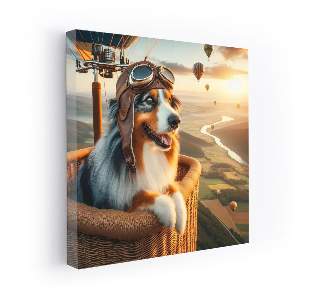 Australian Shepherd in the Sky: Hot Air Balloon Ride
