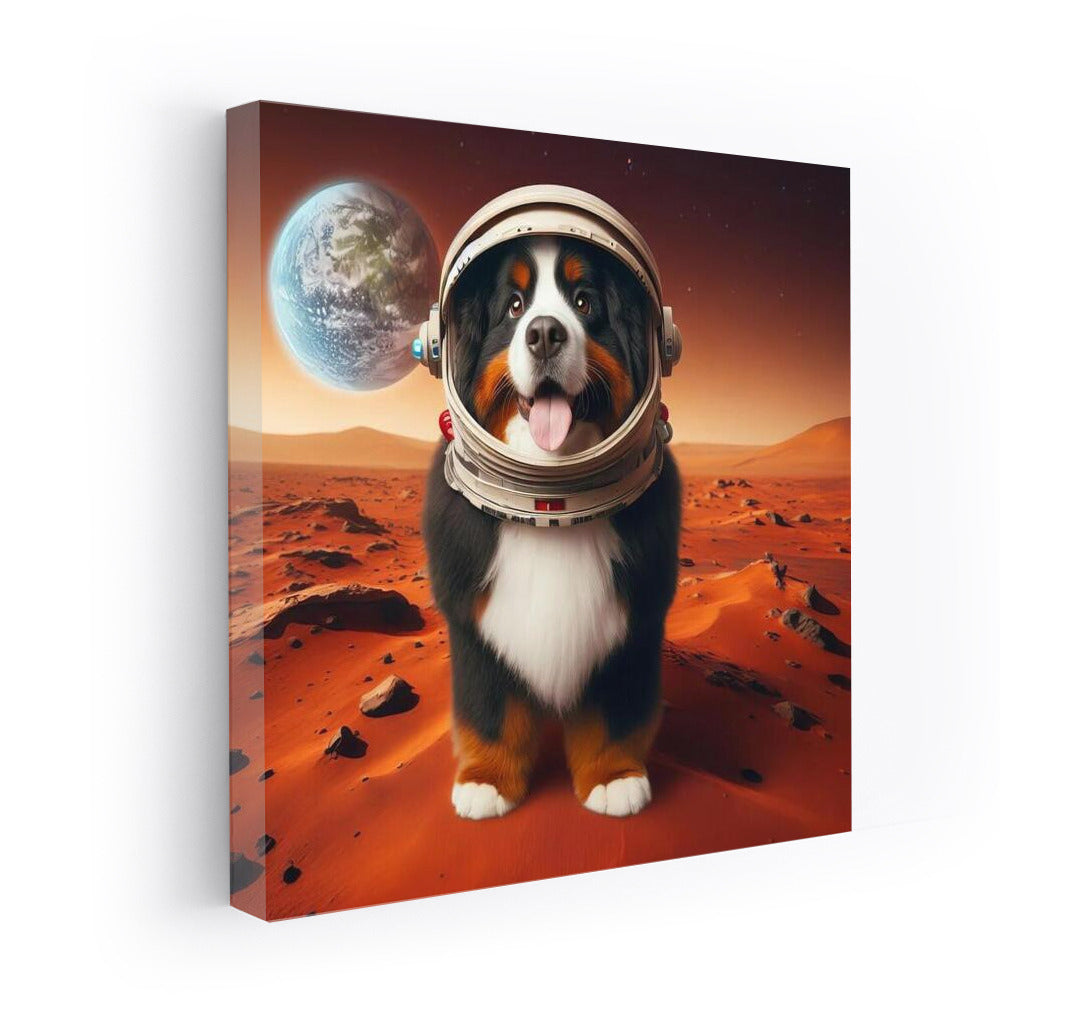 Bernese Mountain Dog in Space: A Martian Adventure