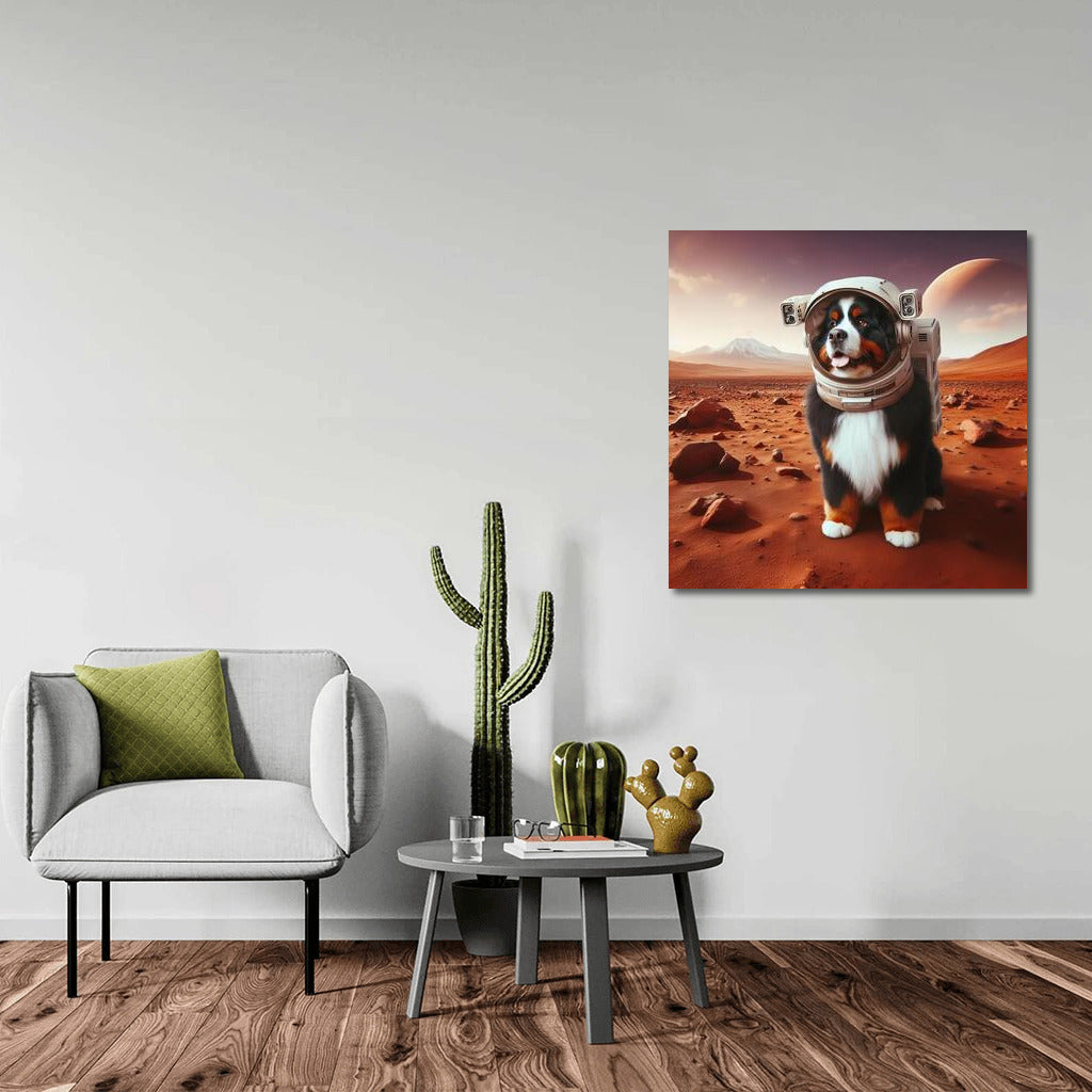 Bernese Mountain Dog on Mars: A Space Adventure in a Spacesuit
