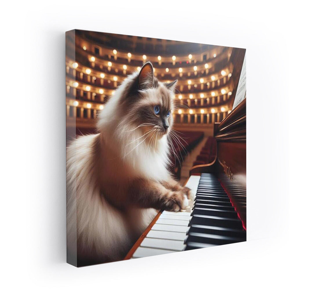 Burmese Cat at the Piano: Musical Grace in the Concert Hall