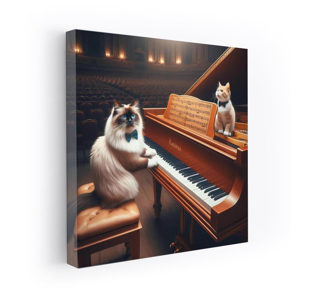 Burmese Cat: Symphony on the Grand Piano in the Concert Hall