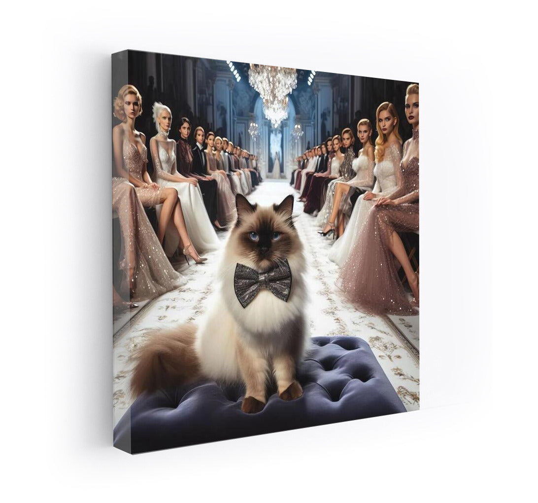 Burmese Cat on the Catwalk: Style and Elegance