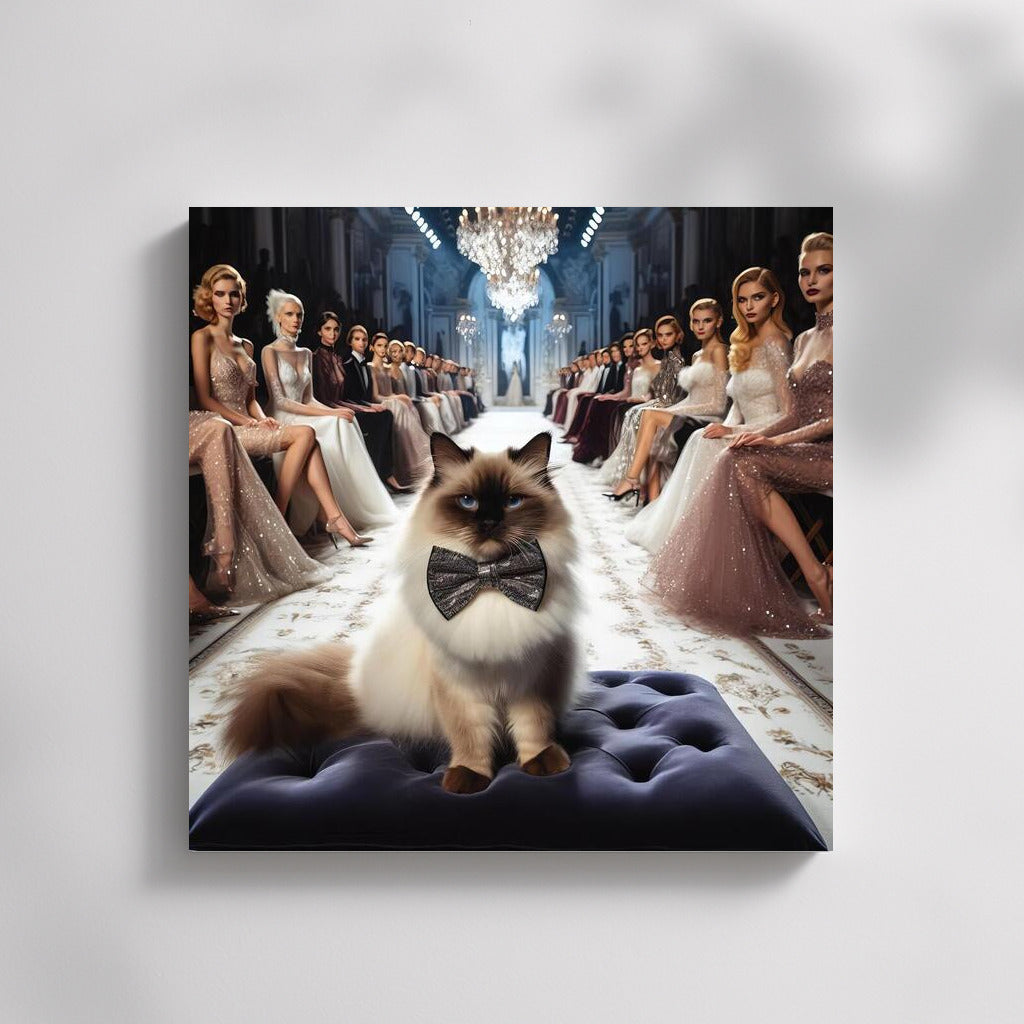 Burmese Cat on the Catwalk: Style and Elegance