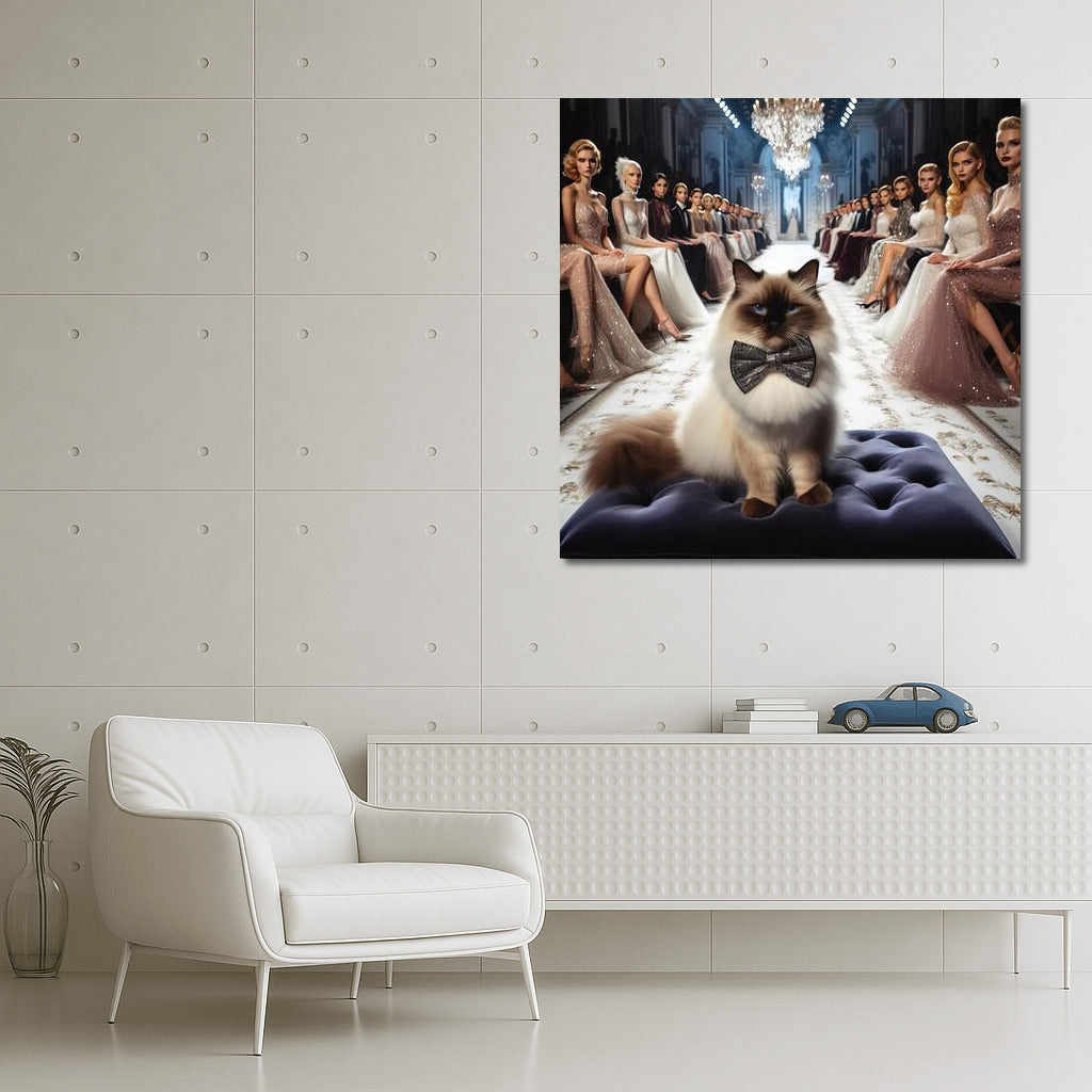 Burmese Cat on the Catwalk: Style and Elegance