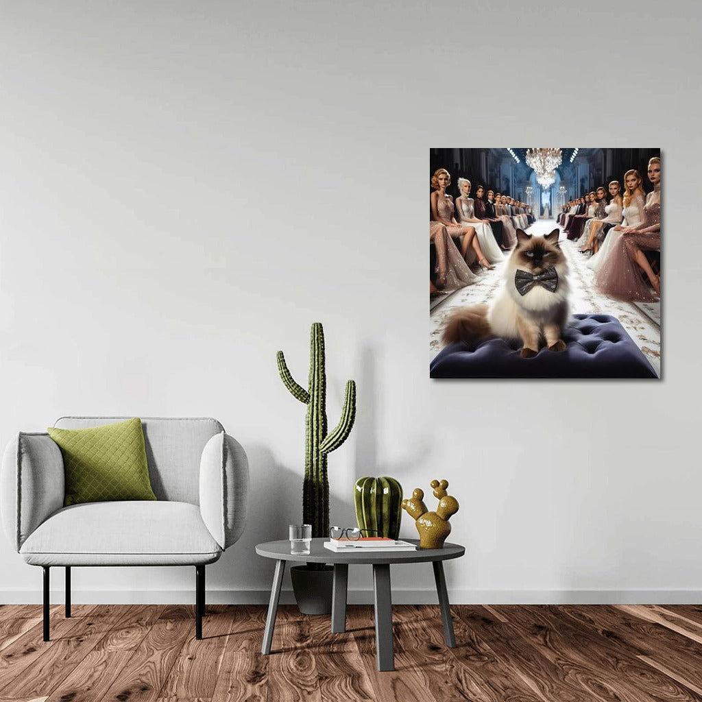 Burmese Cat on the Catwalk: Style and Elegance