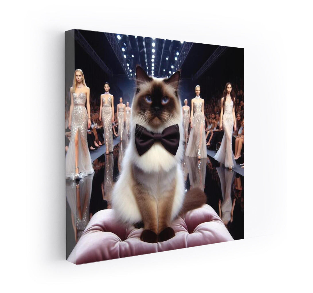 Burmese Grace on the Catwalk: Elegance and Style for Fashion and Cat Lovers