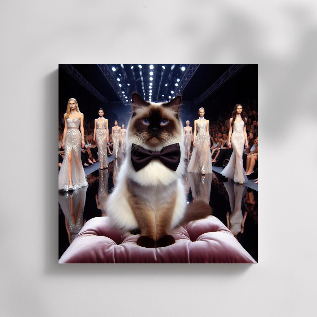 Burmese Grace on the Catwalk: Elegance and Style for Fashion and Cat Lovers