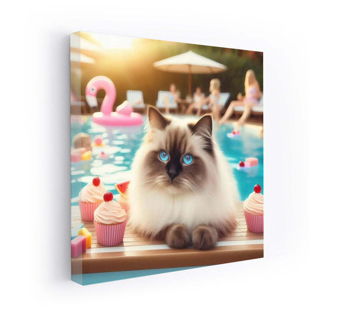 Birman Cat at Pool Party: Joy and Comfort