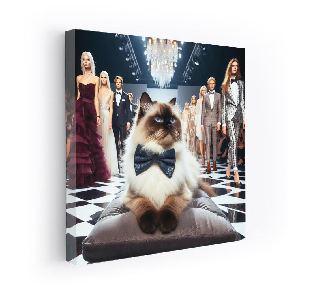 Birman Cat on the Catwalk: Grace and Style in the Fashion World