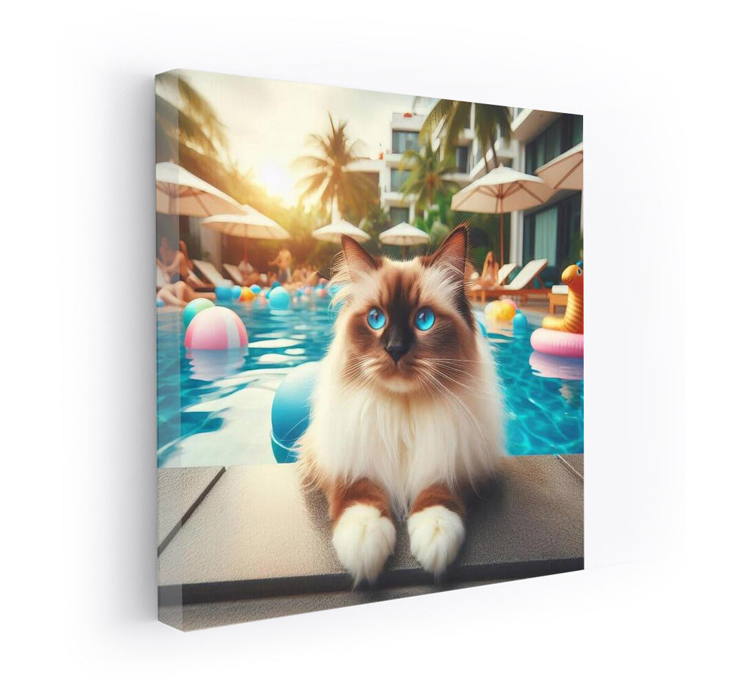 Burmese Cat by the Pool: Elegance and Style