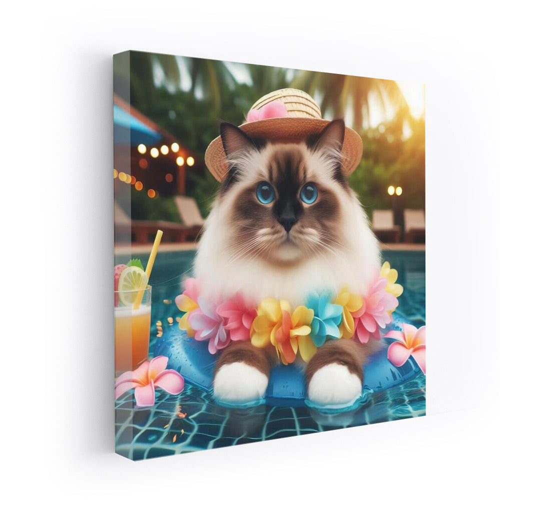 Birman at a Beach Party: The Cat in the Hat by the Pool