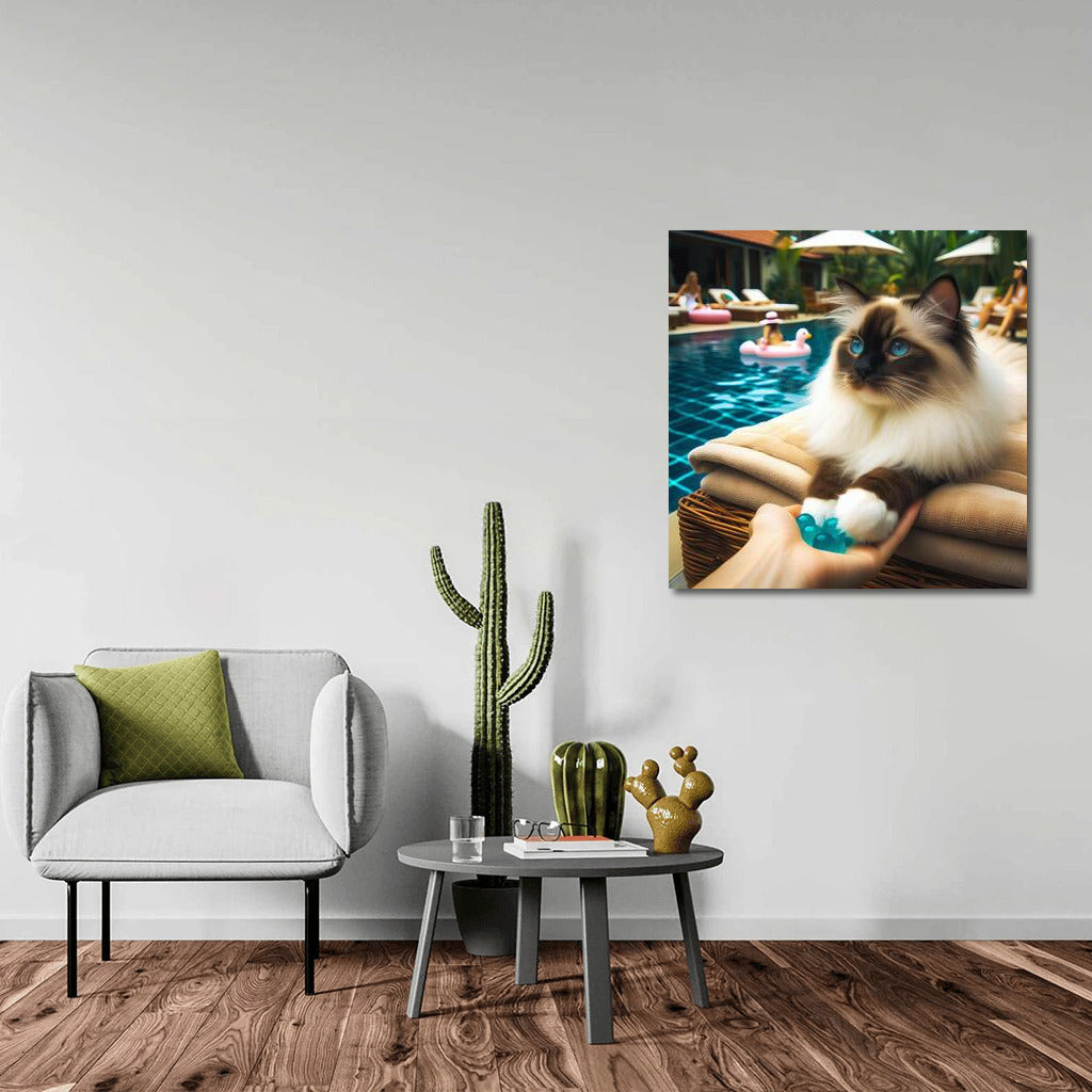 Birman Cat at Pool Party: Style and Comfort for Your Interior