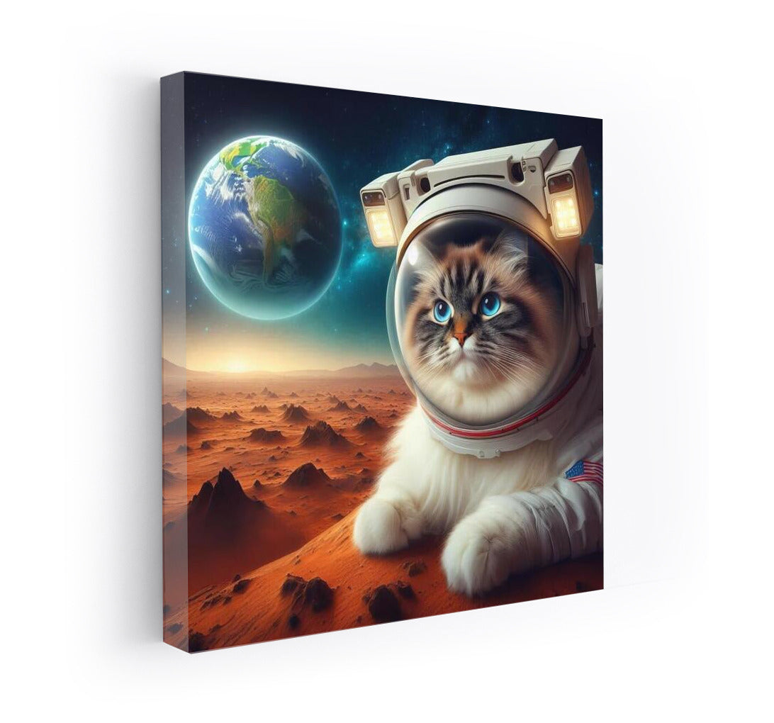 Burmese Astronaut Cat on Mars: A Look Back at Earth