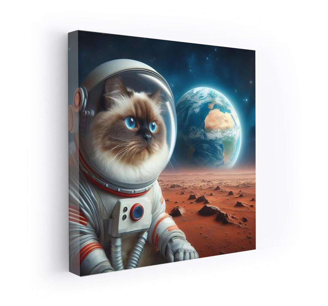 Burmese Cat in a Spacesuit: Martian Dreams of Earth