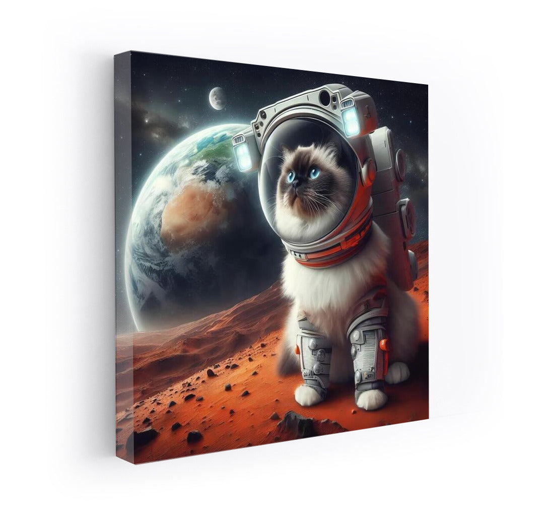 Burmese Cat Astronaut on Mars: A Cosmic View of Earth