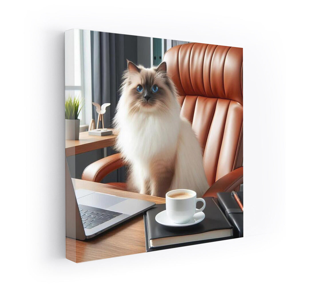Burmese Wool Boss: Stylish Cat in the Office