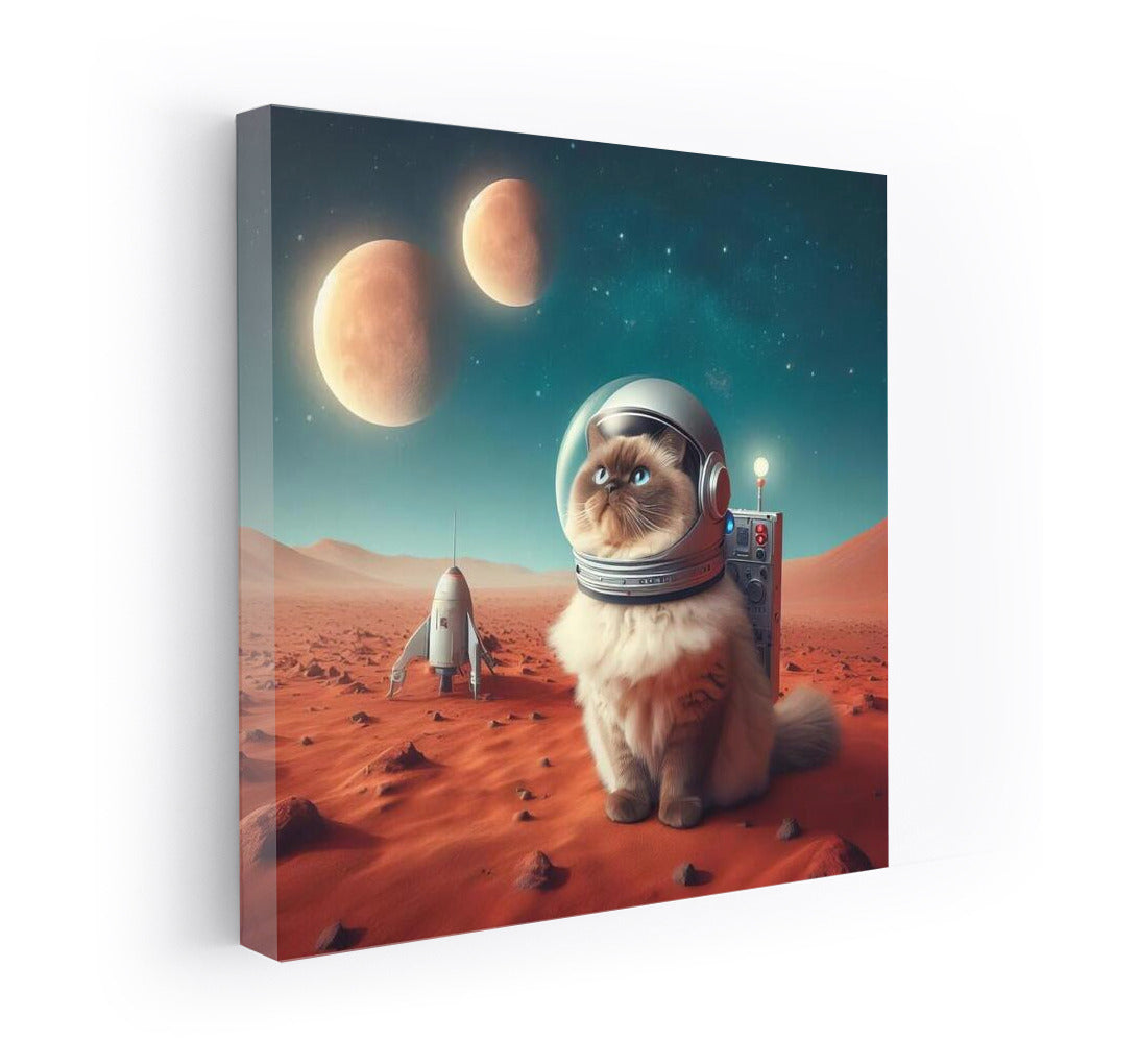 Burmese Cat on Mars: Space Voyage 2
