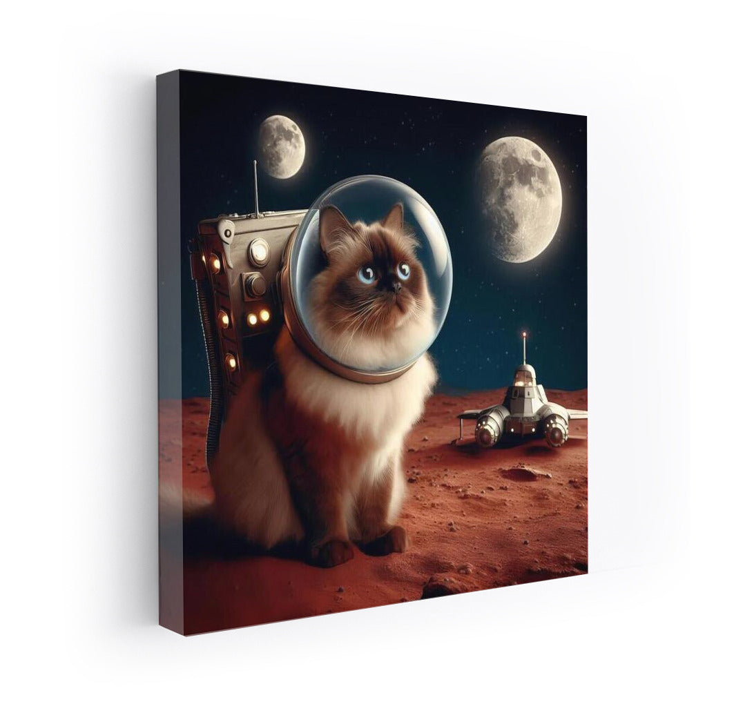 Burmese Cat in a Spacesuit: Space Adventure on Mars